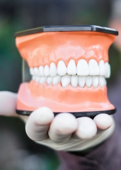 Implant Supported Dentures | Bellingham Dentist | Dental Implants | Northside Dental Care