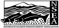 Salmon | Bellingham Dentist | Dental Implants | Northside Dental Care